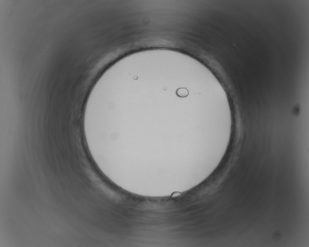 X0000115810625200912241915