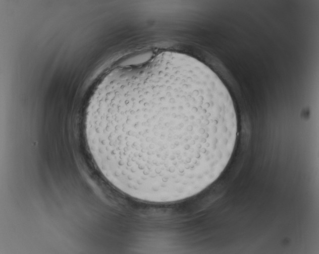 X0000115810626200912241915