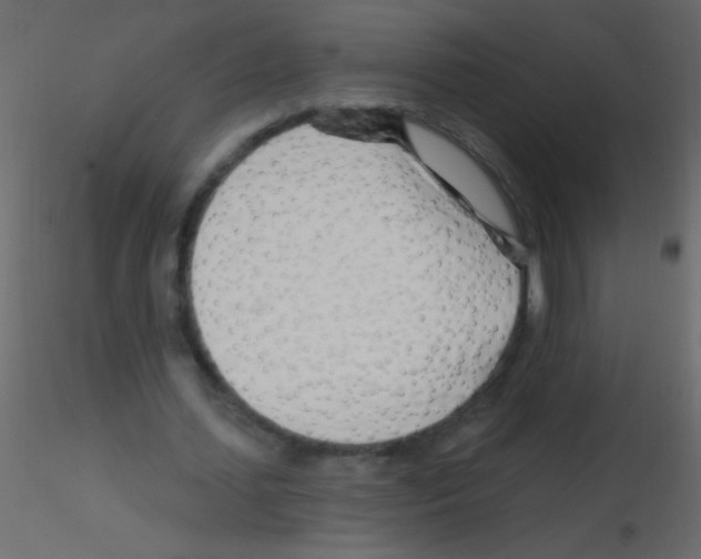 X0000115810627200912241915