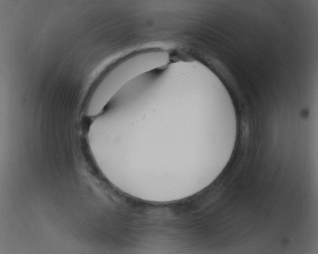 X0000115810628200912241915