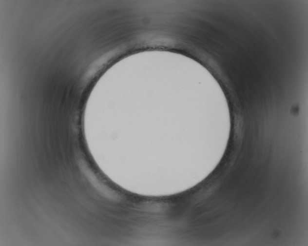 X0000115810629200912241915