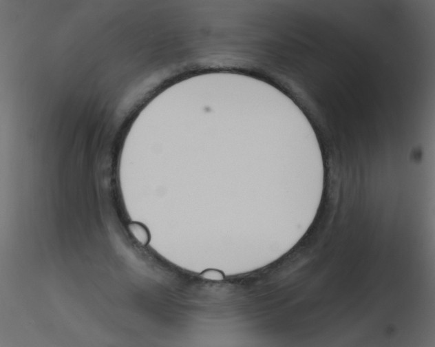 X0000115810631200912241915