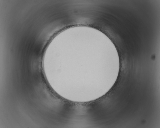 X0000115810632200912241915