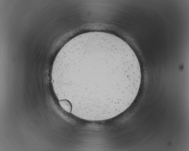 X0000115810633200912241915