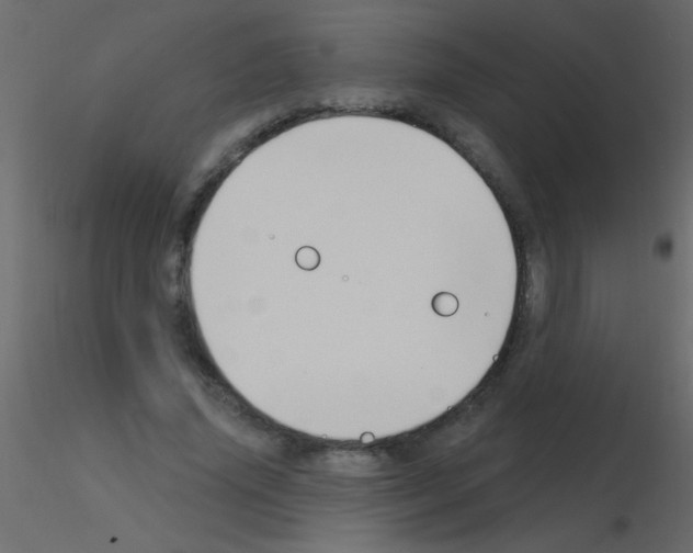 X0000115810636200912241915