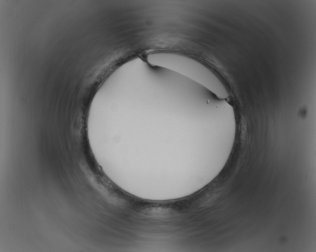 X0000115810637200912241915