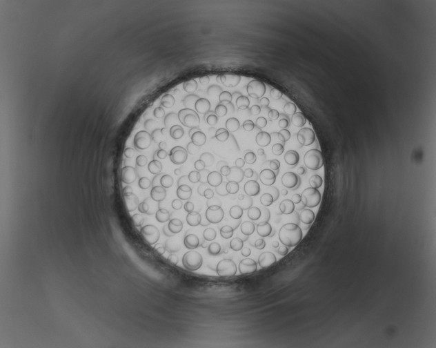 X0000115810638200912241915