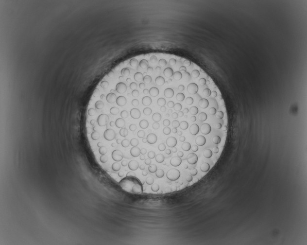 X0000115810639200912241915