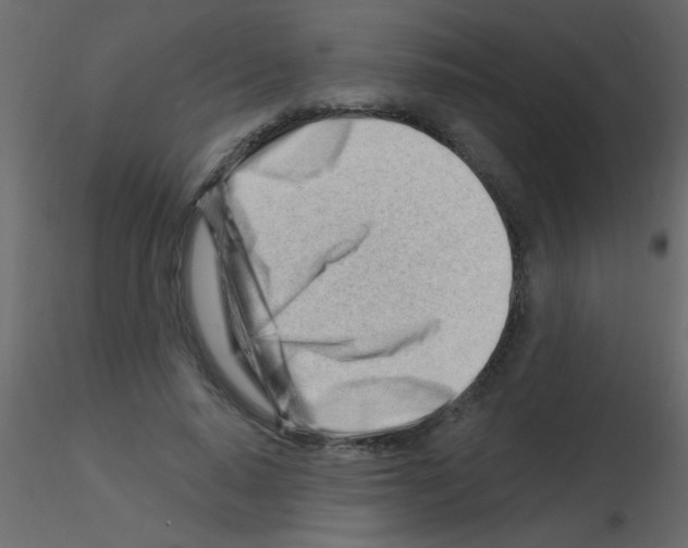 X0000115810640200912241915