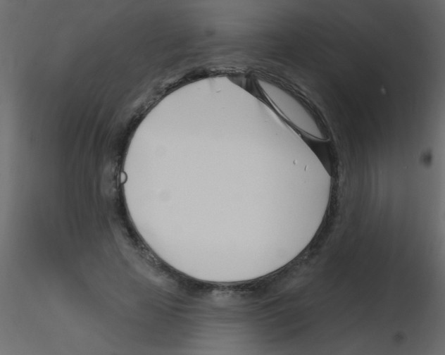 X0000115810641200912241915