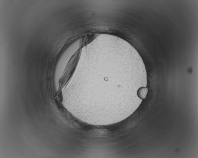 X0000115810642200912241915