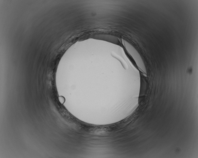 X0000115810643200912241915