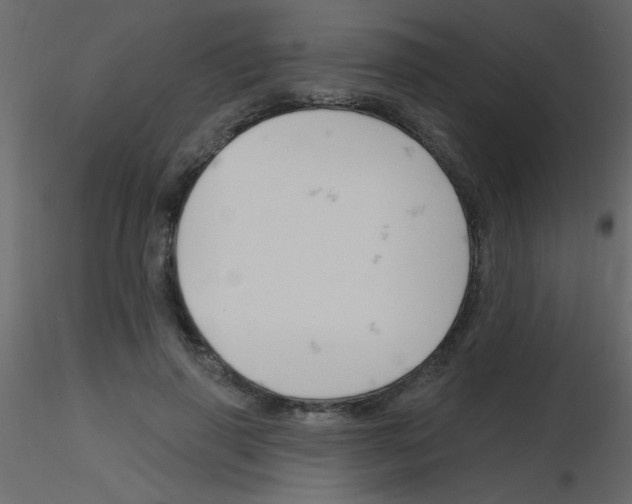 X0000115810645200912241915