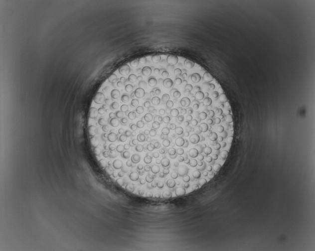 X0000115810646200912241915
