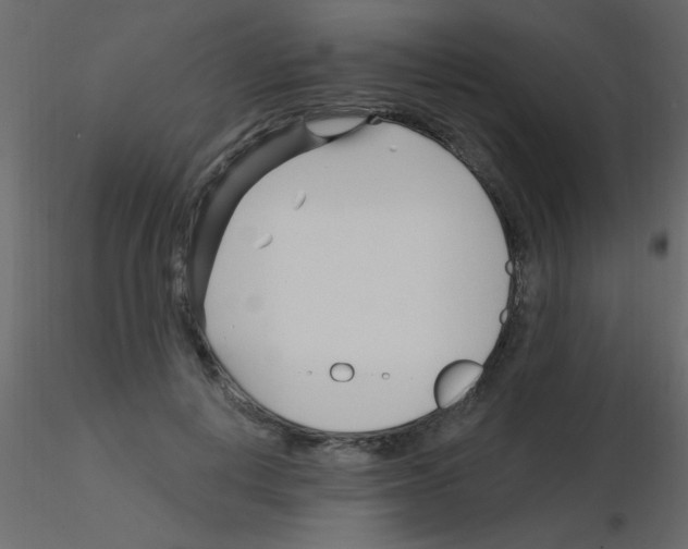 X0000115810648200912241915