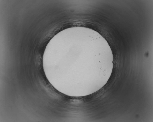 X0000115810649200912241915