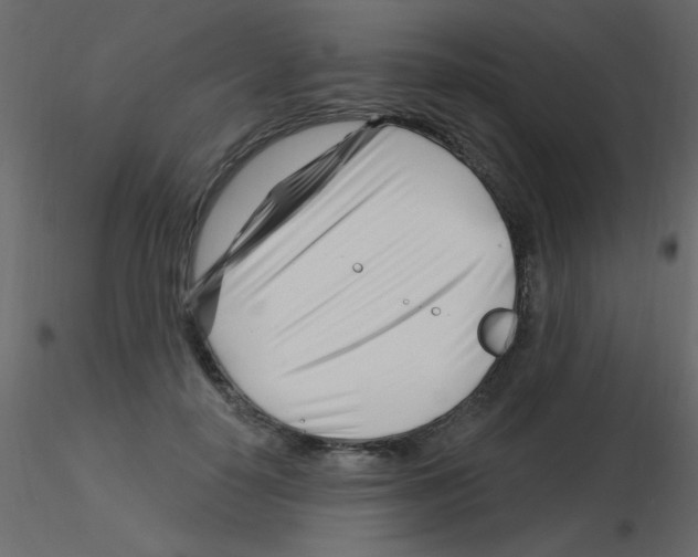 X0000115810650200912241915