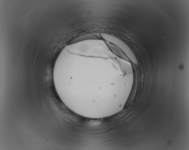 X0000115810651200912241915
