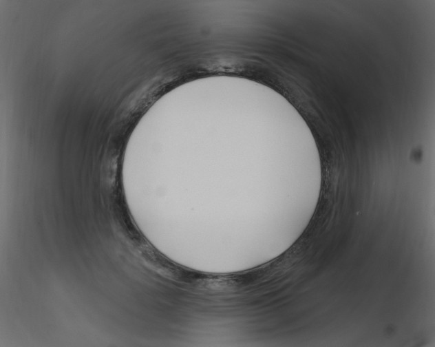 X0000115810652200912241915