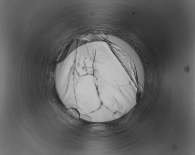 X0000115810653200912241915