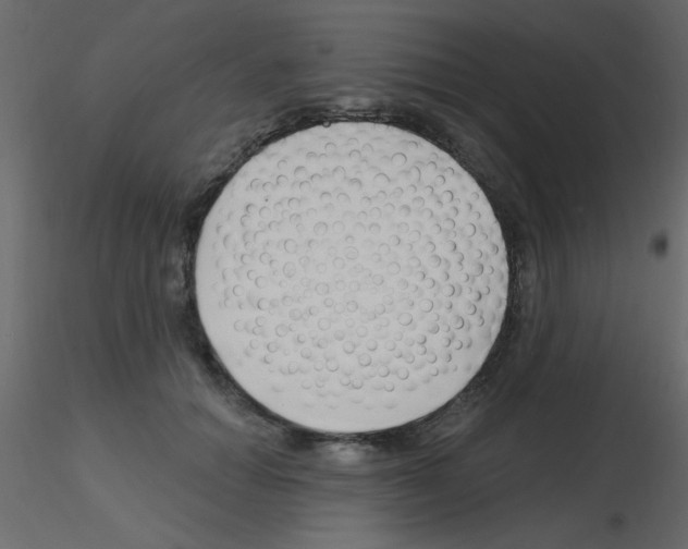 X0000115810654200912241915