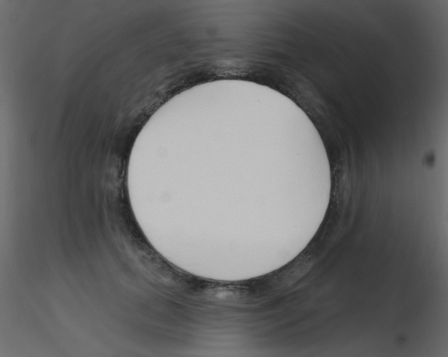 X0000115810655200912241915