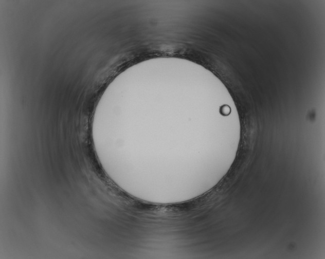 X0000115810656200912241915