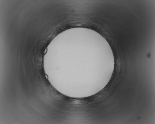 X0000115810657200912241915