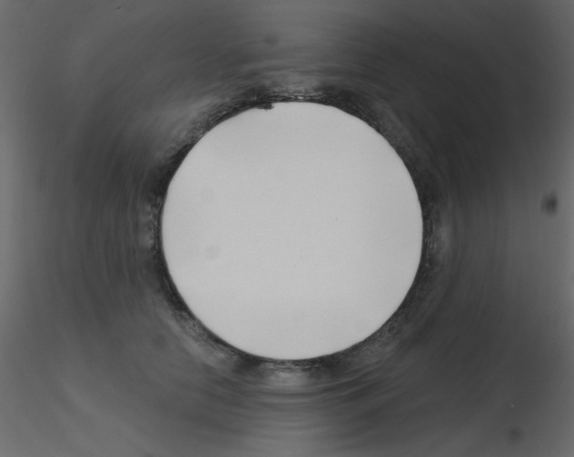 X0000115810658200912241915