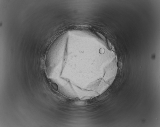 X0000115810659200912241915
