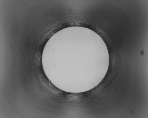 X0000115810661200912241915