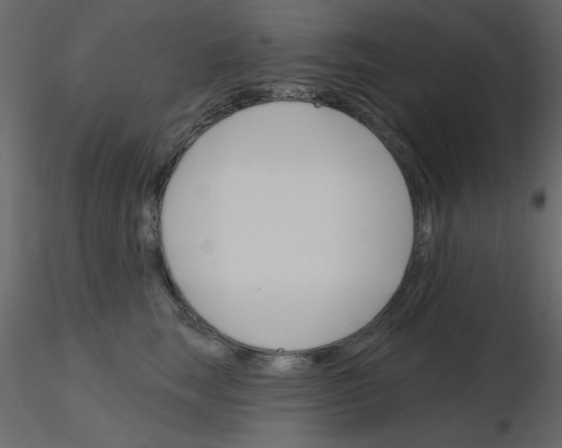 X0000115810663200912241915