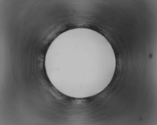 X0000115810664200912241915