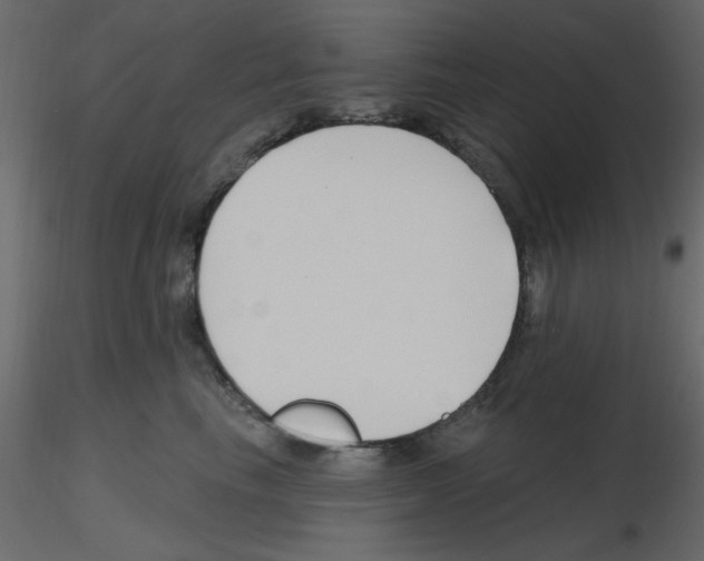 X0000115810665200912241915