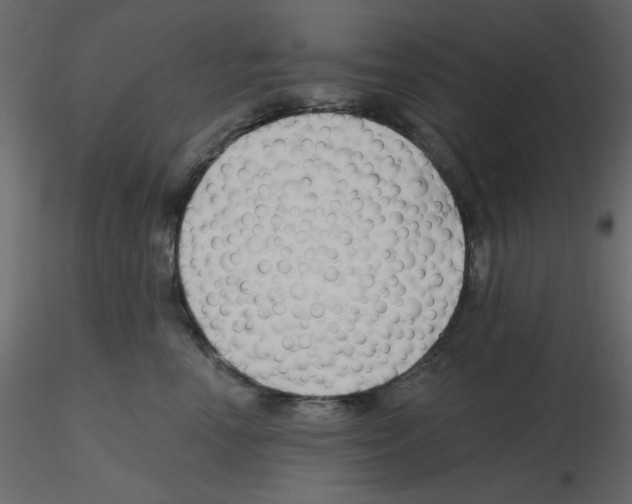 X0000115810666200912241915