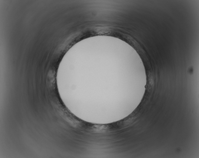 X0000115810667200912241915