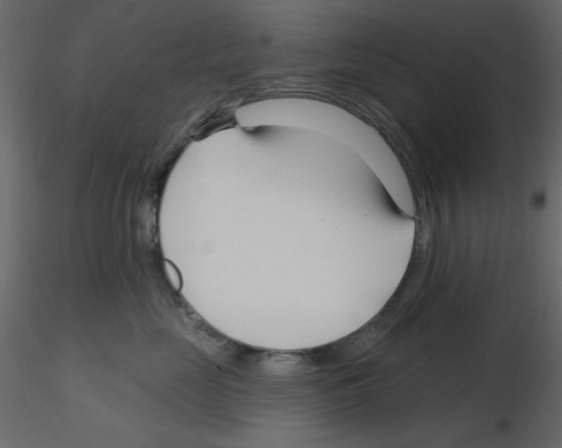 X0000115810669200912241915
