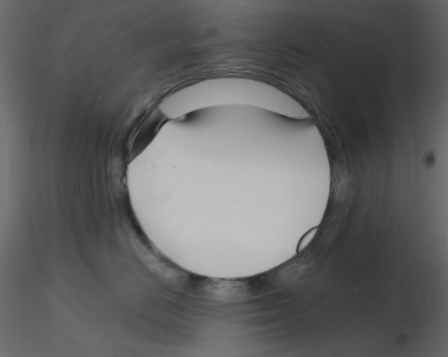 X0000115810670200912241915