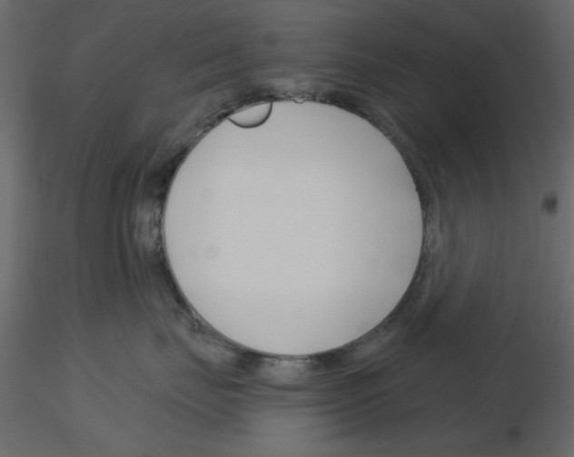 X0000115810671200912241915