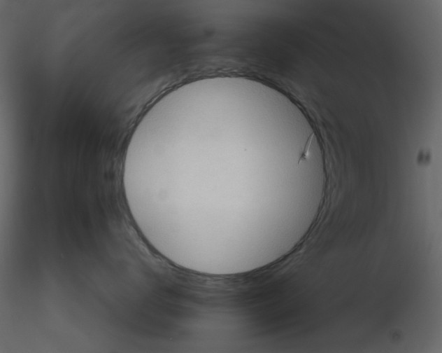 X0000115810672200912241915