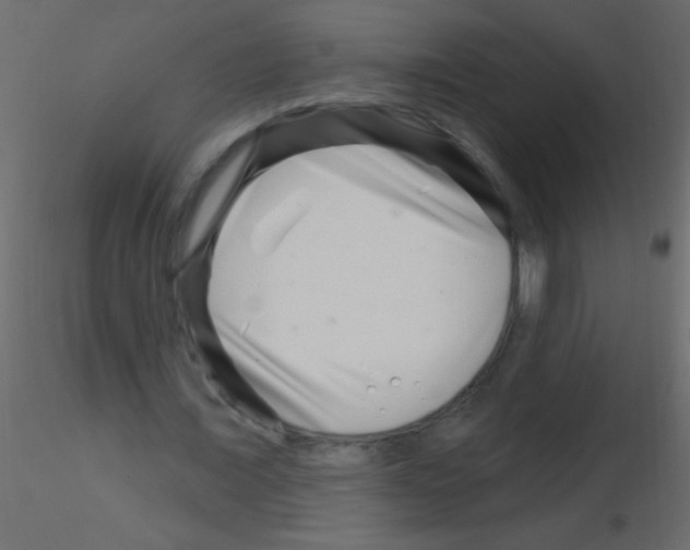 X0000115810675200912241915