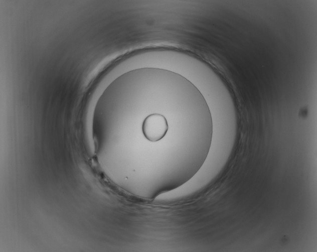 X0000115810676200912241914