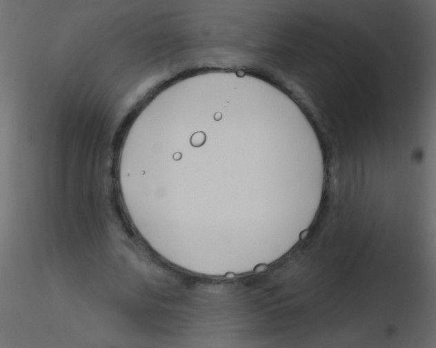 X0000115810679200912241914