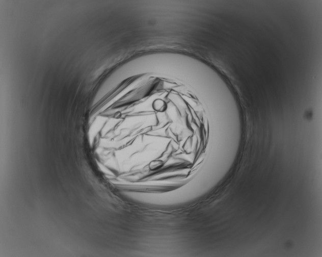 X0000115810681200912241914