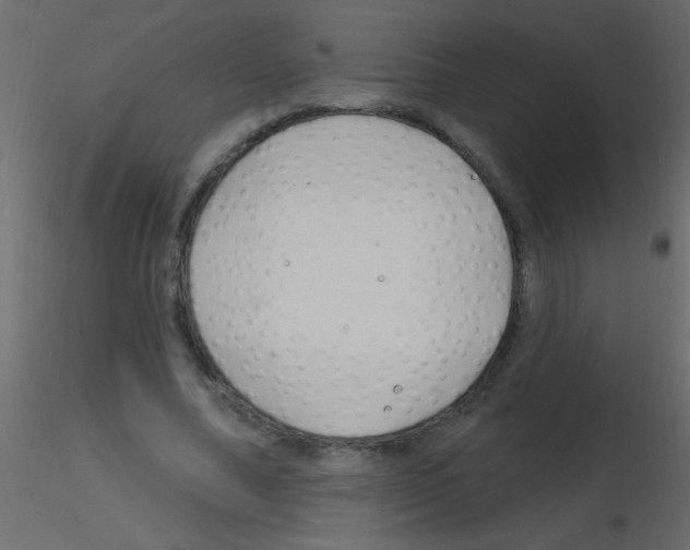 X0000115810682200912241914