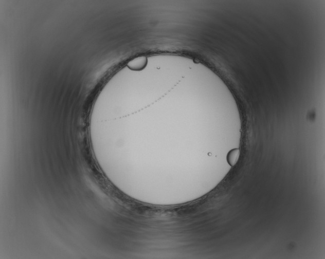 X0000115810683200912241914