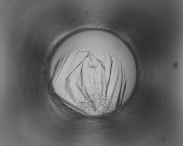 X0000115810684200912241914