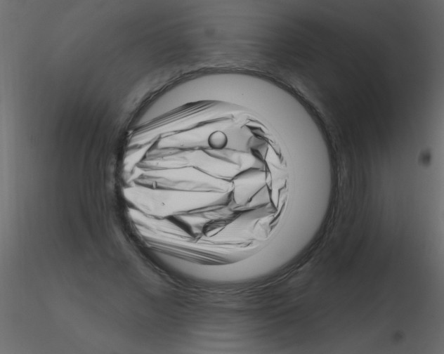 X0000115810685200912241914