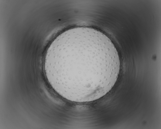 X0000115810686200912241914