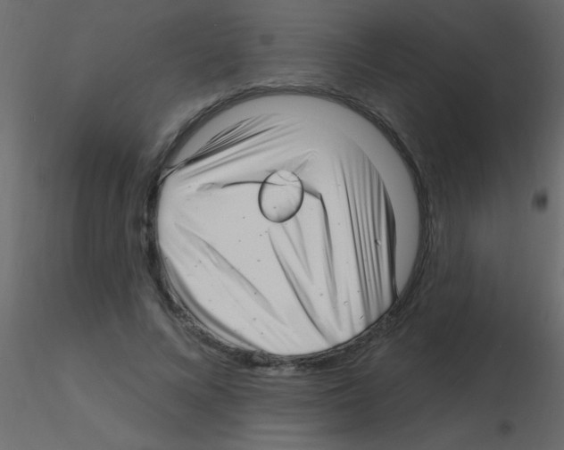 X0000115810688200912241914